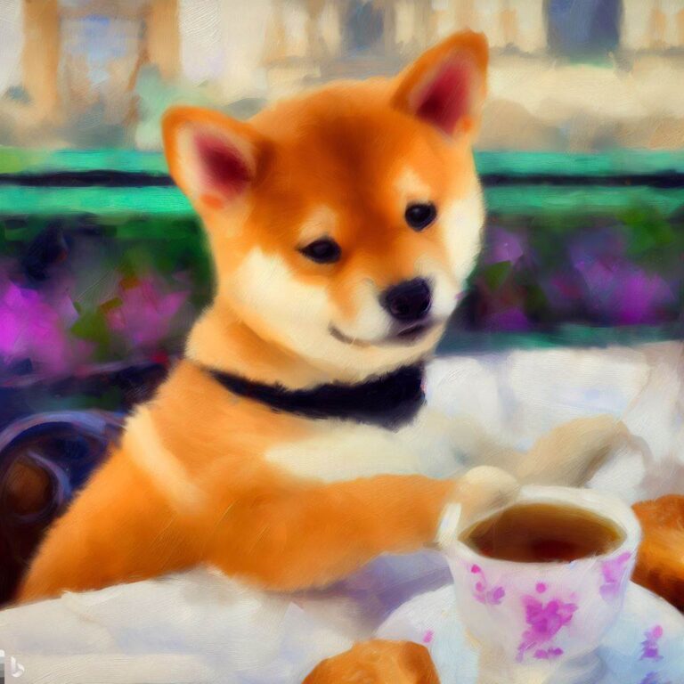 shiba_afternoontea