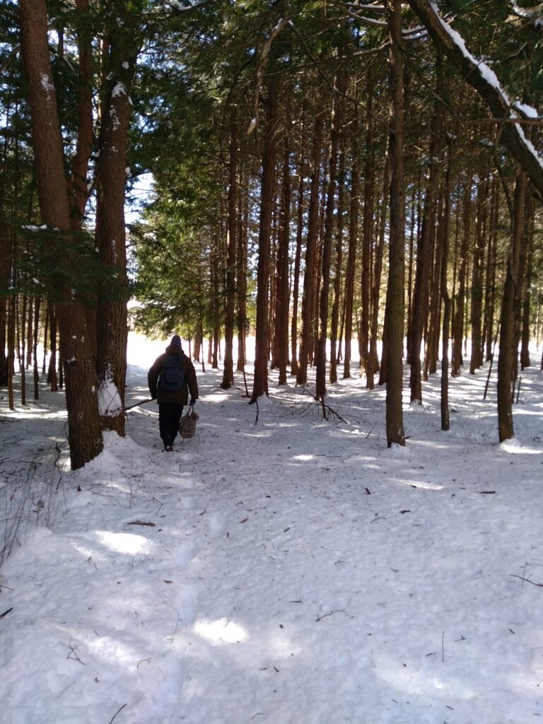 雪の中を買い物に行く図